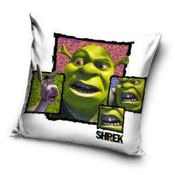 Shrek párnahuzat 40x40 cm Velúr