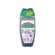 Palmolive tusfürdő 250ml - Northern Escape